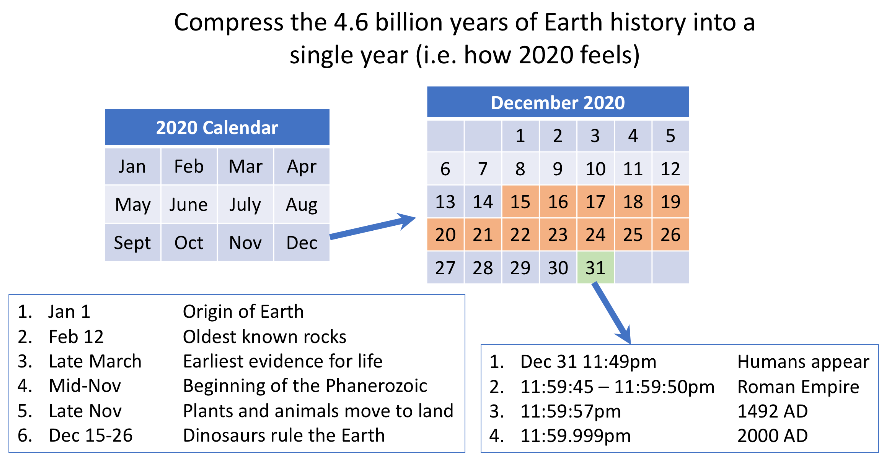 The history of Earth compressed into a year
