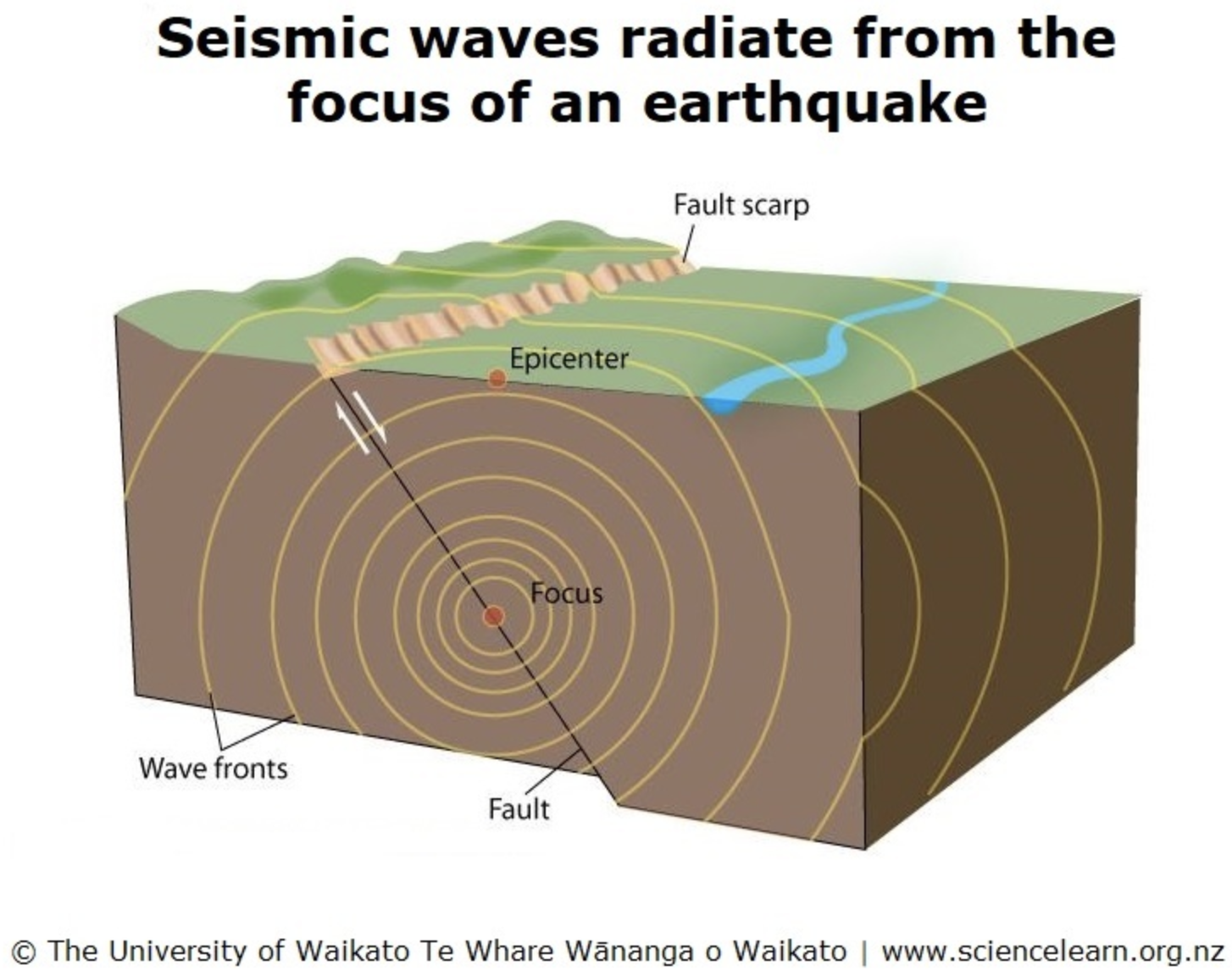 Seismogram Labeled