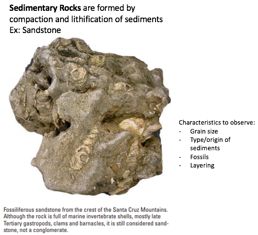 Examples of a sedimentary rock
